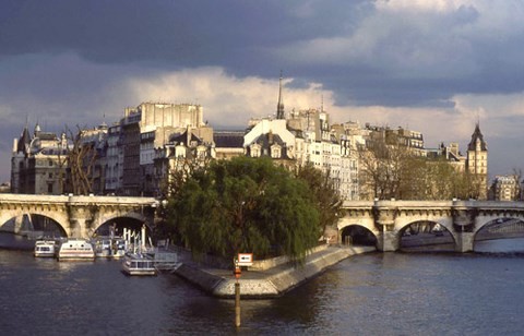 La Seine,île de la Cité,vert galant,square