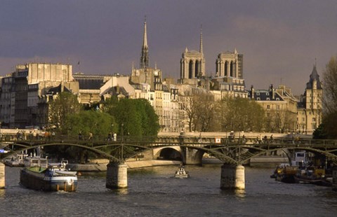 La Seine,île de la Cité,cathédrale Notre-Dame,péniche,passerelle des arts,pont,