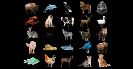 Animal Trivia Challenge