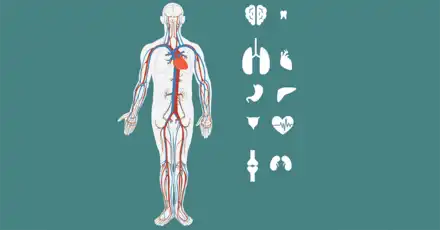 Only 5% ace this amazing human body quiz - Can you?