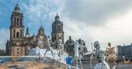 Which Tropical City Should You Live In?