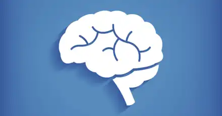 Short-Term Memory Test