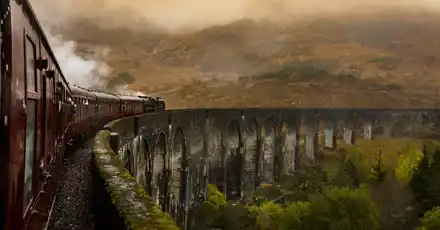 Can I Survive in the Harry Potter Universe? - How Long Can You Survive in the World of Harry Potter?