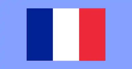 European French Slang Test - Only 1% can accomplish this quiz, are you one of them?