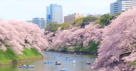 東京都千代田区民テスト