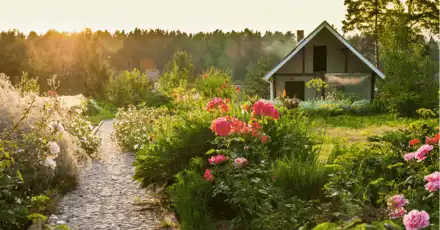 What Kind of Flower Grows Inside You?