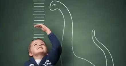 What Is My Ideal Height?