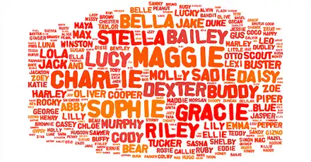 What Should Your Name Be? - Discover Your True Name: A Personality-Based Quiz with Over 112 Results