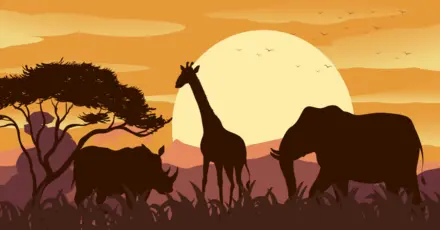 Which Wild Animal Are You? - Newly Updated Animal Matching Version