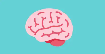 Comprehensive Knowledge Radar Test